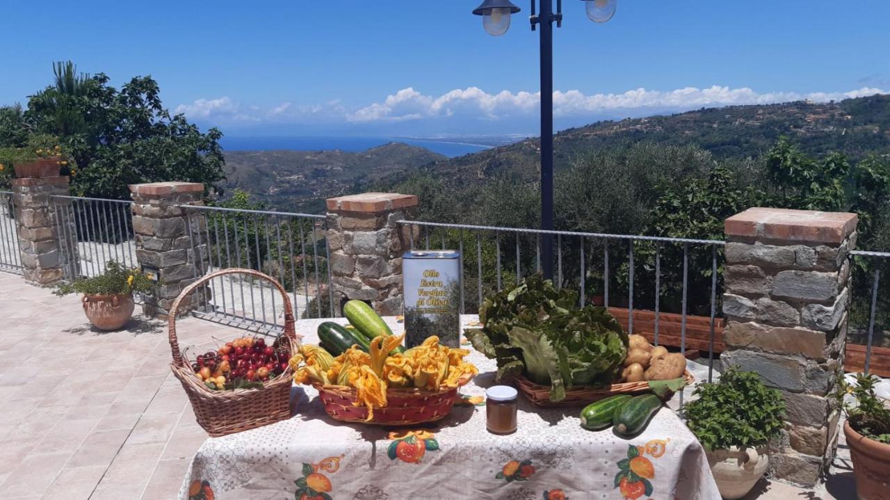 Agriturismo Gli Antichi Sapori - Con Stazione Di Ricarica Veicoli Elettrici Vatolla エクステリア 写真
