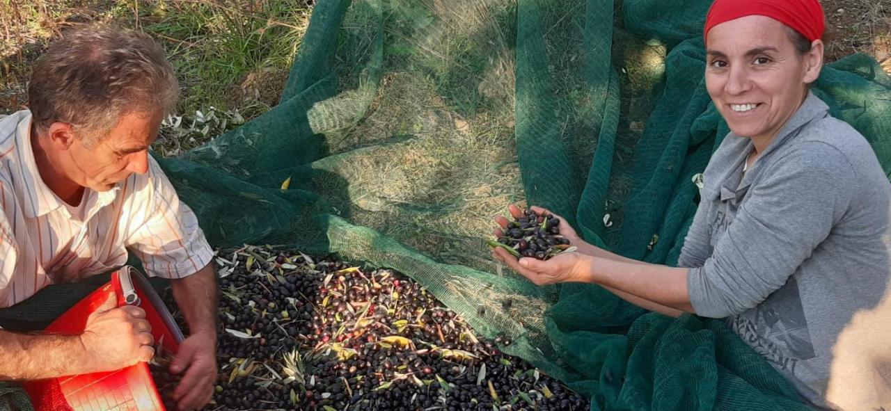 Agriturismo Gli Antichi Sapori - Con Stazione Di Ricarica Veicoli Elettrici Vatolla エクステリア 写真