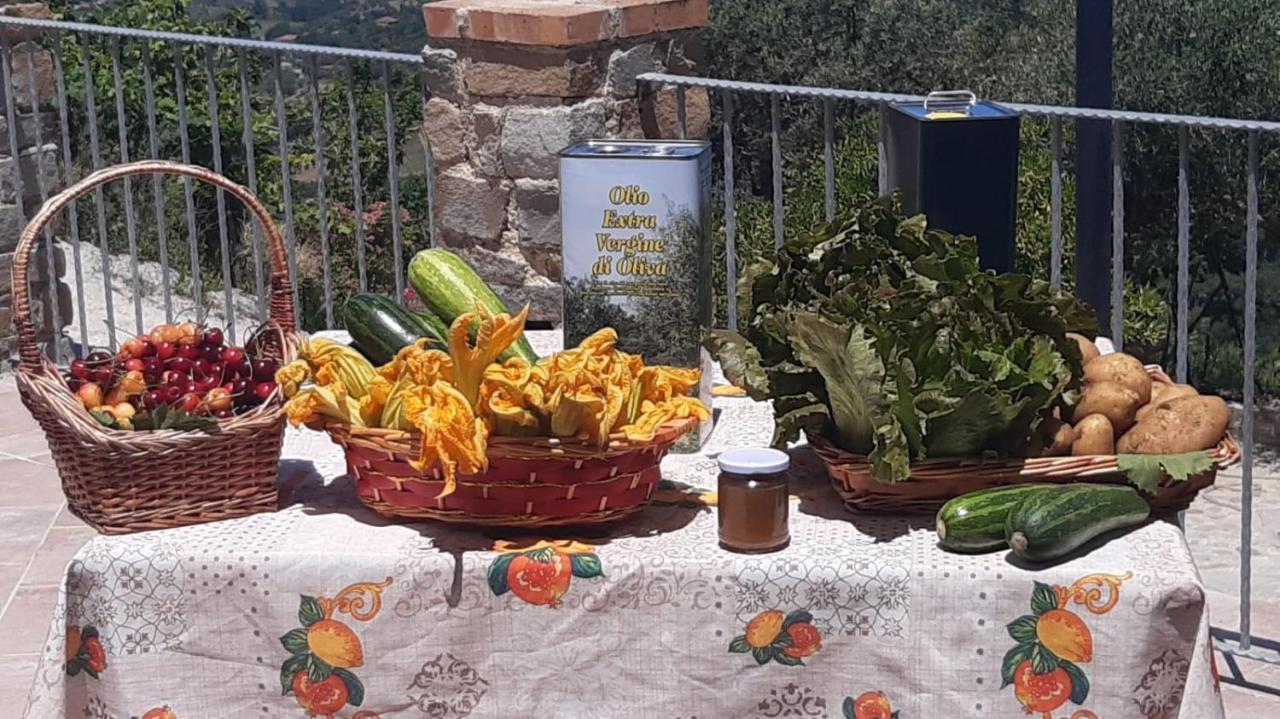 Agriturismo Gli Antichi Sapori - Con Stazione Di Ricarica Veicoli Elettrici Vatolla エクステリア 写真